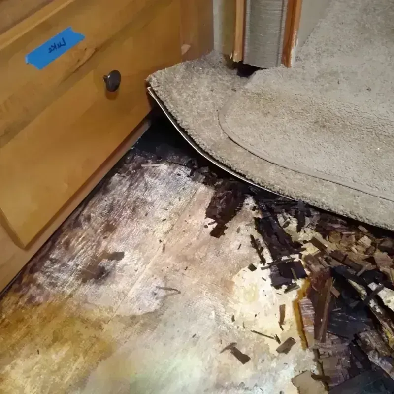 Wood Floor Water Damage in Masaryktown, FL